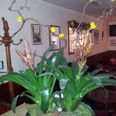 Regit Ξενοδοχείο