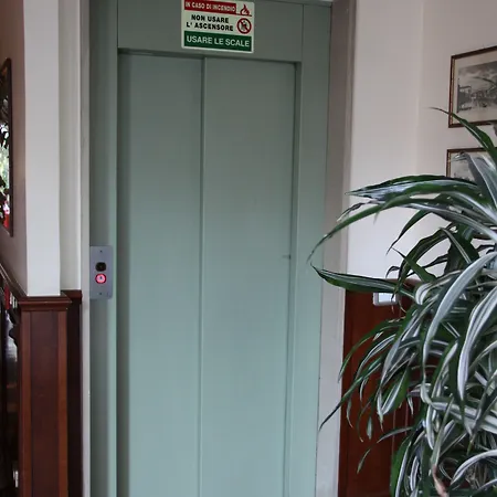 Regit Местре