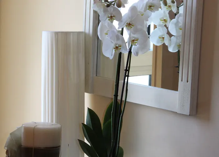 Ξενοδοχείο Regit 3*